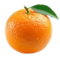 fresh Orange transparent picture png