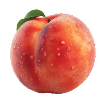 fresco pêssego transparente imagem png