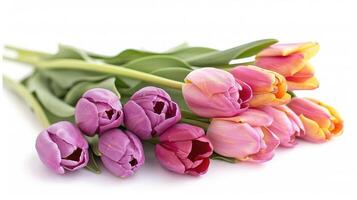 Bouquet of colorful tulips wrapped in paper on a white background. photo