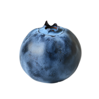 fresh Blueberry picture png