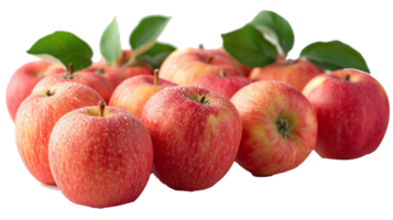 manzanas imagen transparente png