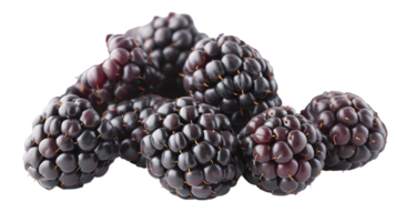 fresh Blackberries transparent image png