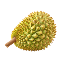 fresh durian transparent photo png