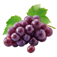 fresh grape transparent picture png