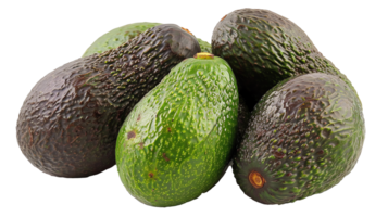 vers avocado's transparant beeld png