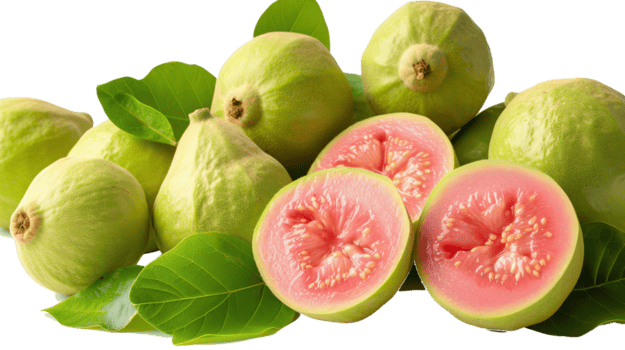 fresco goiabas transparente imagem png