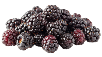 fresh Blackberries transparent photo png