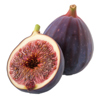 fresh fig transparent picture png