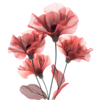 Red Poppy Flower on a Transparent Canvas png