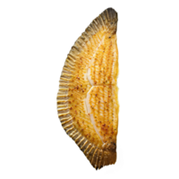 Broiled flounder fillet golden brown color garnished with butter sauce captured in natural light png