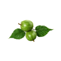 Paw paw fruit with green fruit and large leaves in dynamic arrangement Food and culinary png