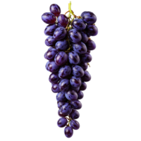 Muscadine grape with large purple grapes and curling stem in dramatic swirl Food and culinary png