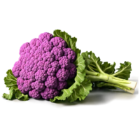 Purple cauliflower vibrant deep purple head png