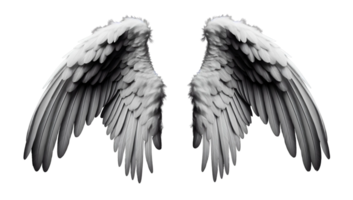 Weiß Engel Flügel. png