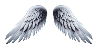 White angel wings. png