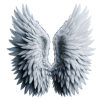 White angel wings. png