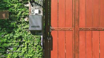 The old wooden gate door with mailbox and creeper plant on concrete wall of vintage house photo
