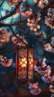 A lantern hangs on the branch of a cherry blossom tree photo
