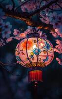 A lantern hangs on the branch of a cherry blossom tree photo