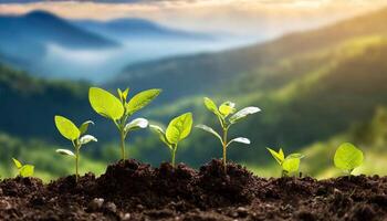 plantas creciente desde suelo con naturaleza paisaje foto