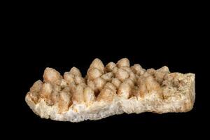 Macro mineral quartz stone of two genirats on a black background photo