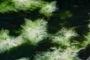 Macro stone Nephrite mineral on white background photo