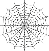 un sencillo línea dibujo de el forma de araña web png