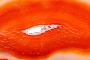 Macro mineral orange agate in crystals on white background photo