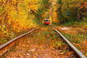 Autumn forest through which an old tram rides Ukraine photo