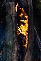 Beautiful fire flames on a campfire photo