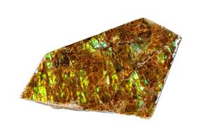 Macro of the mineral stone ammolite on white background photo