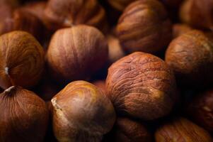 hazelnut kernels close-up. macro shot of the texture of a pile of nuts photo