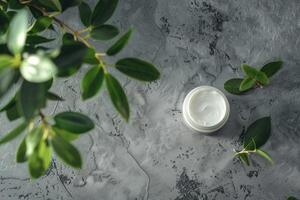 Cosmetic branding, packaging and make-up concept - Luxury face cream moisturizer jarle and green leaves background, organic skincare cosmetics product for luxury beauty brand photo