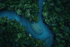 Aerial view of the river flowing through the forest. Beautiful nature landscape photo