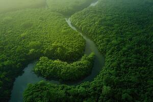 aéreo ver de el río fluido mediante el bosque. hermosa naturaleza paisaje foto