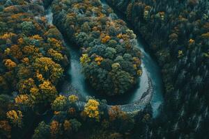 Aerial view of the river flowing through the forest. Beautiful nature landscape photo