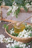 still life with full honeycombs,jar of ocacia honey on table,organic enriched beekeeping product,alternative medicine photo