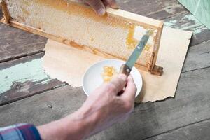 man cuts honeycombs from a honey frame with a knife for eating for tea, honey in honeycombs is good for the health photo