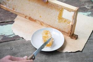 man cuts honeycombs from a honey frame with a knife for eating for tea, honey in honeycombs is good for the health photo