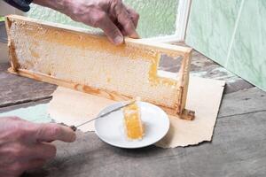 man cuts honeycombs from a honey frame with a knife for eating for tea, honey in honeycombs is good for the health photo