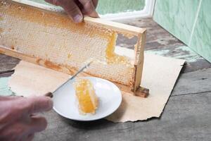 man cuts honeycombs from a honey frame with a knife for eating for tea, honey in honeycombs is good for the health photo