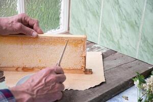 man cuts honeycombs from a honey frame with a knife for eating for tea, honey in honeycombs is good for the health photo