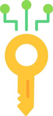 Digital Key Flat Icon Design