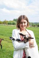 Young woman plays with goat kids, feeding them, sun shining, countryside photo