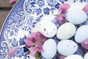 codorniz huevos pintado azul en un Clásico azul estampado plato decorado con rosado pétalos foto