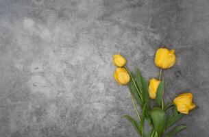 amarillo tulipanes en gris cemento antecedentes minimalismo parte superior vista, Pascua de Resurrección decoración, primavera foto