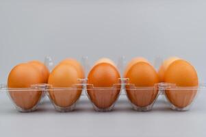 naranja pollo huevos, animal huevos, alto proteína alimento, desayuno, huevo fotografía en estudio foto