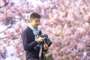 Asian man is taking photo while walking in the park at cherry blossom tree during spring sakura festival with copy space