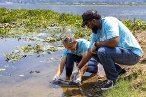 equipo de voluntario científico es atrapando nativo criador pescado a obtener muestra y medicación para Estadísticas desde contaminación en global calentamiento y clima cambio para naturaleza y fauna silvestre conservación foto