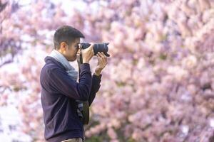 asiático hombre es tomando foto mientras caminando en el parque a Cereza florecer árbol durante primavera sakura festival con Copiar espacio